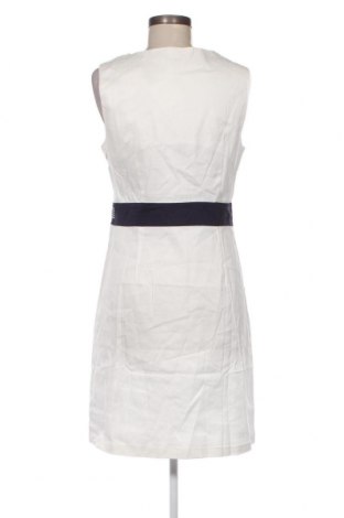 Φόρεμα Apart, Μέγεθος M, Χρώμα Μπλέ, Τιμή 74,74 €