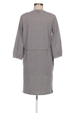 Kleid Barbour, Größe S, Farbe Mehrfarbig, Preis 9,35 €
