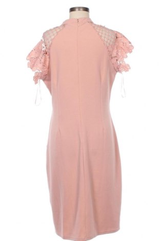 Φόρεμα Coast, Μέγεθος L, Χρώμα Σάπιο μήλο, Τιμή 169,59 €
