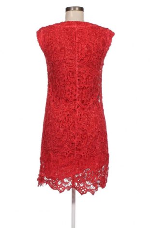 Kleid Elisa Cavaletti, Größe S, Farbe Rot, Preis 91,04 €