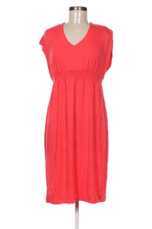 Kleid Jbc, Größe M, Farbe Orange, Preis 9,69 €