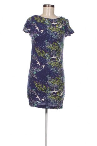 Kleid M&Co., Größe XS, Farbe Mehrfarbig, Preis 6,05 €