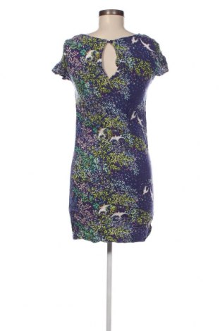 Kleid M&Co., Größe XS, Farbe Mehrfarbig, Preis € 6,05
