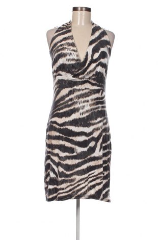 Kleid M&Co., Größe L, Farbe Mehrfarbig, Preis 8,07 €