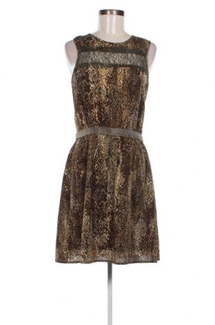 Kleid Morgan, Größe M, Farbe Mehrfarbig, Preis 13,49 €