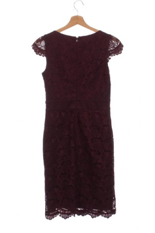 Kleid S.Oliver Black Label, Größe XXS, Farbe Rot, Preis 18,93 €