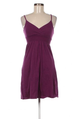 Kleid Staccato, Größe XS, Farbe Lila, Preis 17,00 €