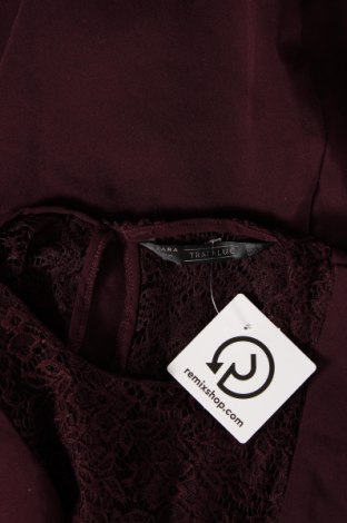 Kleid Zara, Größe M, Farbe Rot, Preis 5,51 €