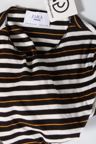 Kleid Zara Trafaluc, Größe S, Farbe Mehrfarbig, Preis € 3,65