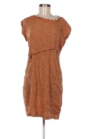 Kleid Zeeman, Größe M, Farbe Mehrfarbig, Preis 9,69 €