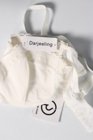 Σουτιέν Darjeeling, Μέγεθος S, Χρώμα Εκρού, Τιμή 18,85 €
