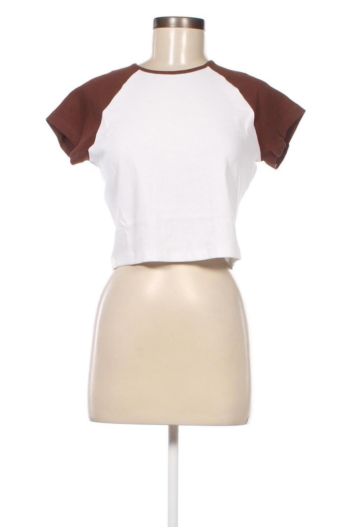 Γυναικεία μπλούζα Even&Odd, Μέγεθος XL, Χρώμα Πολύχρωμο, Τιμή 4,63 €