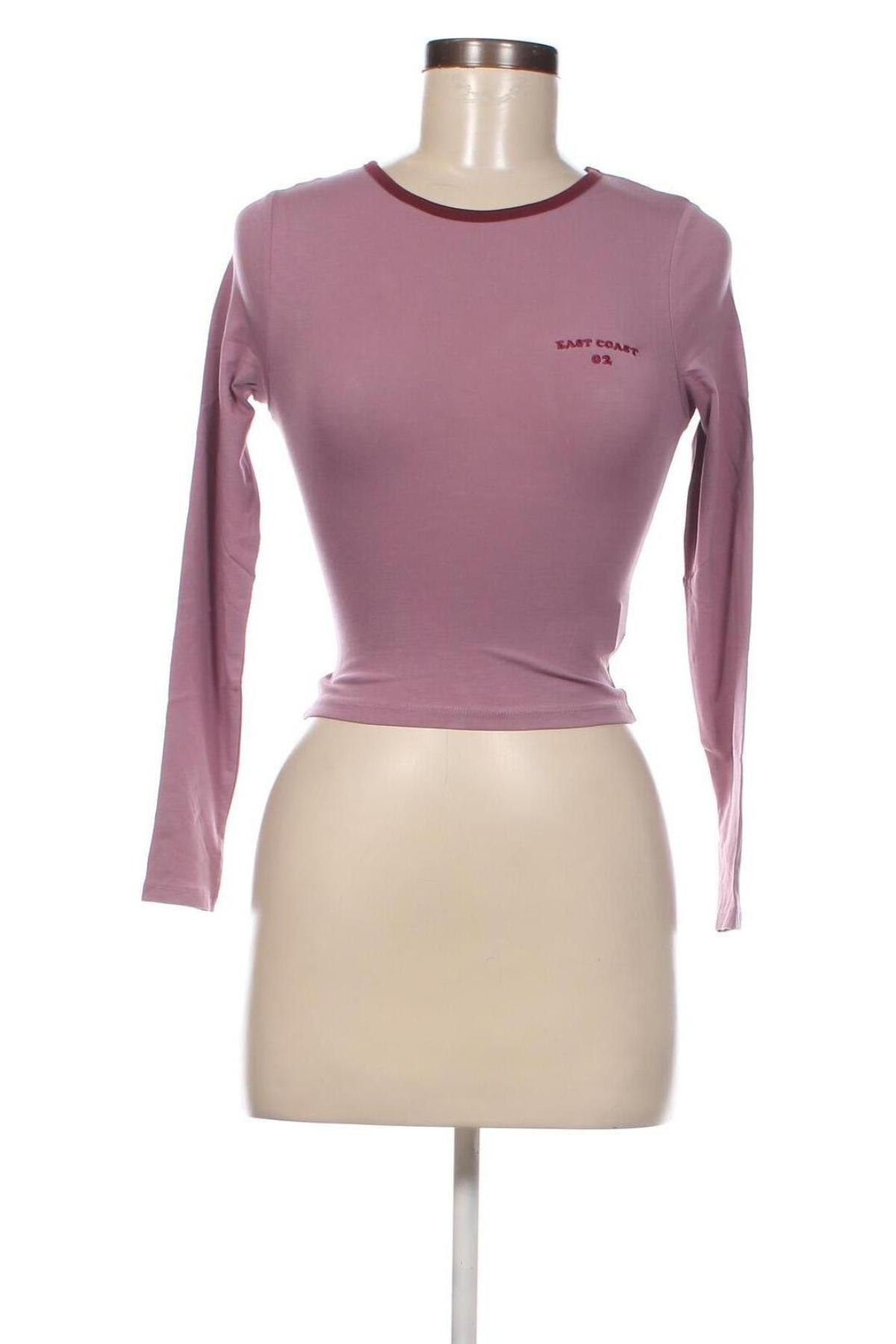 Damen Shirt Jennyfer, Größe XXS, Farbe Lila, Preis 2,40 €