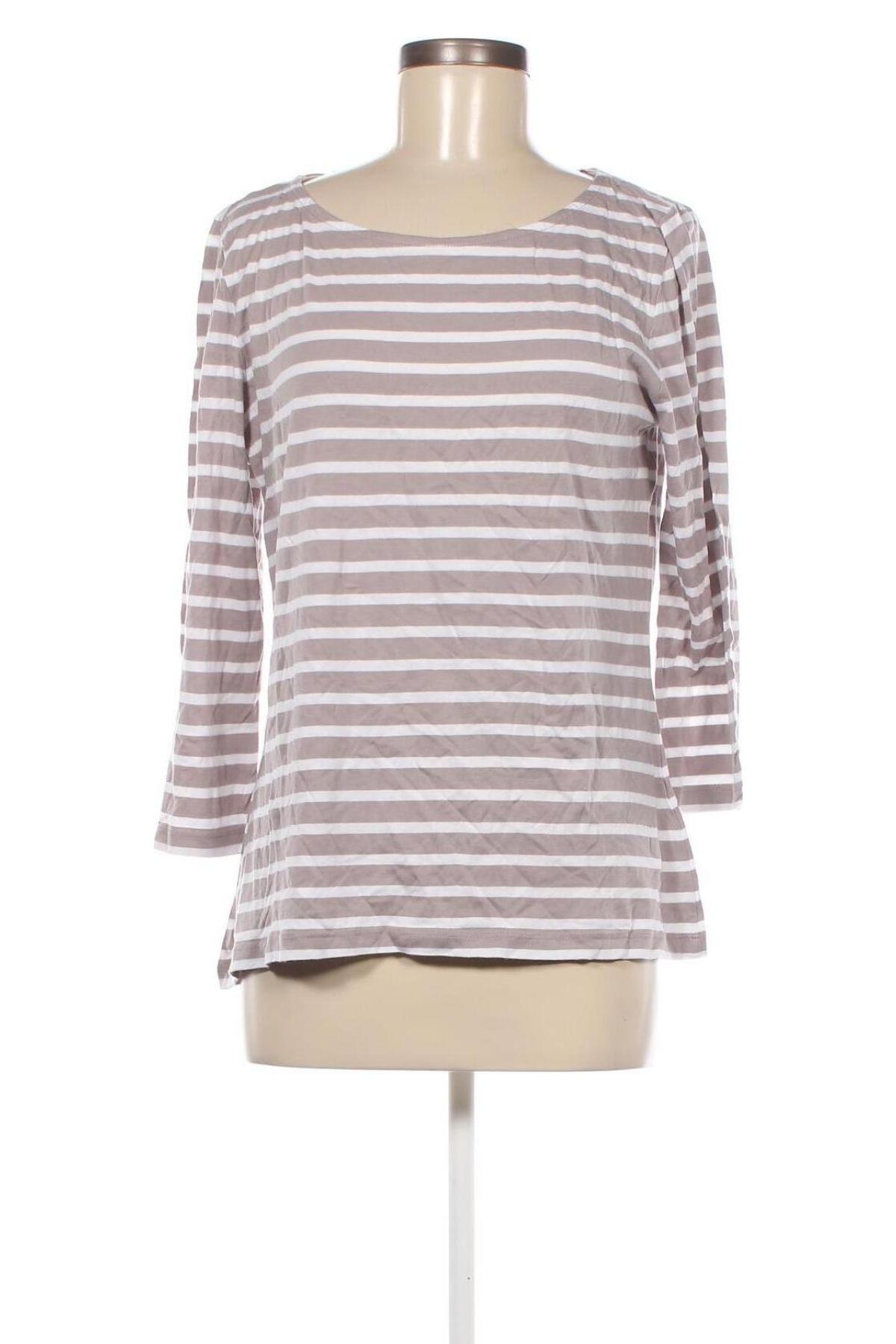 Γυναικεία μπλούζα More & More, Μέγεθος XL, Χρώμα Πολύχρωμο, Τιμή 19,14 €