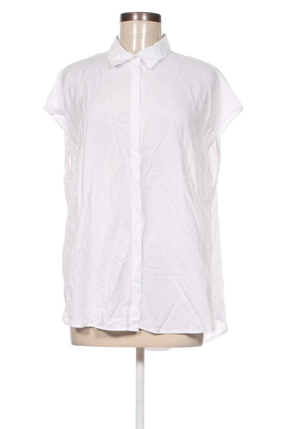 Γυναικείο πουκάμισο Peter Hahn, Μέγεθος XL, Χρώμα Λευκό, Τιμή 21,03 €