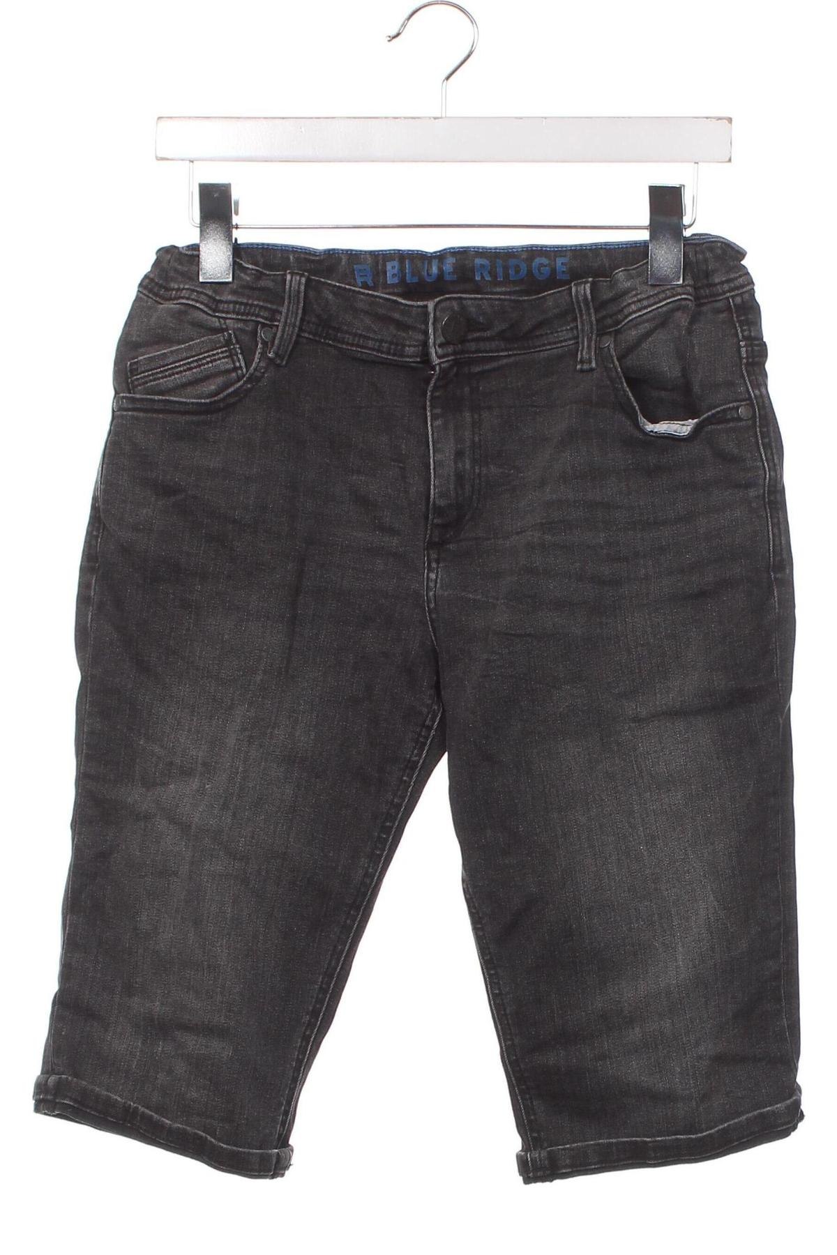 Παιδικό κοντό παντελόνι Blue Ridge, Μέγεθος 15-18y/ 170-176 εκ., Χρώμα Γκρί, Τιμή 8,66 €