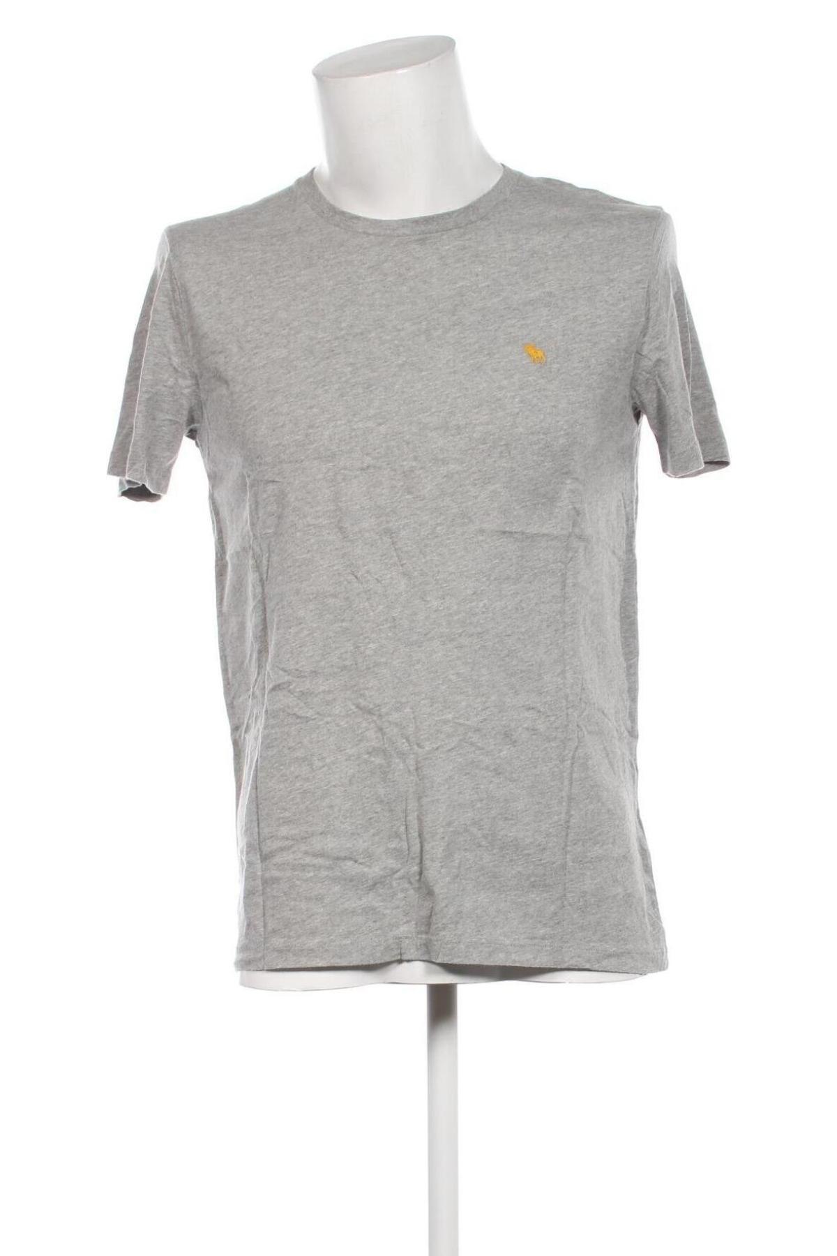 Мъжка тениска Abercrombie Kids, Размер M, Цвят Сив, Цена 31,72 лв.