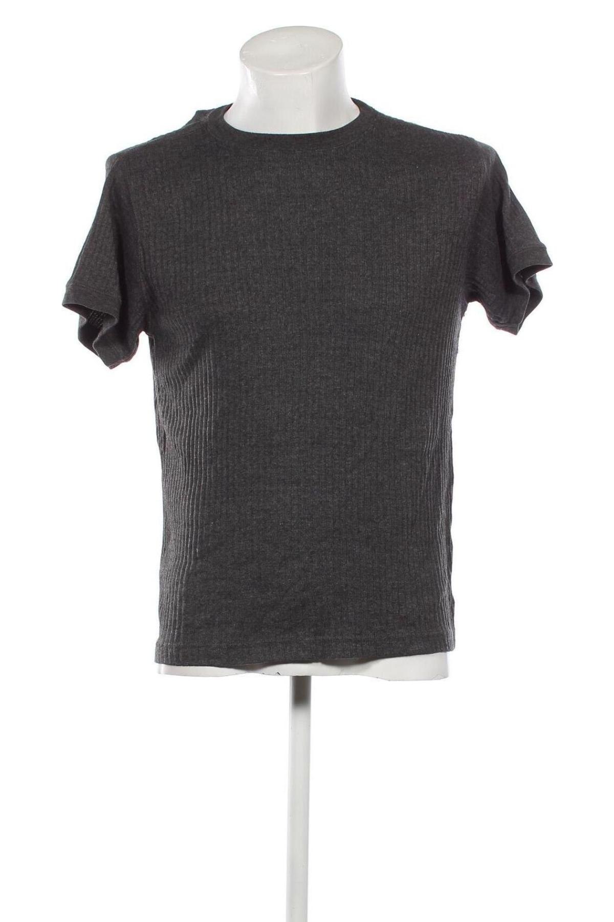 Herren T-Shirt Gnw, Größe L, Farbe Grau, Preis 9,05 €