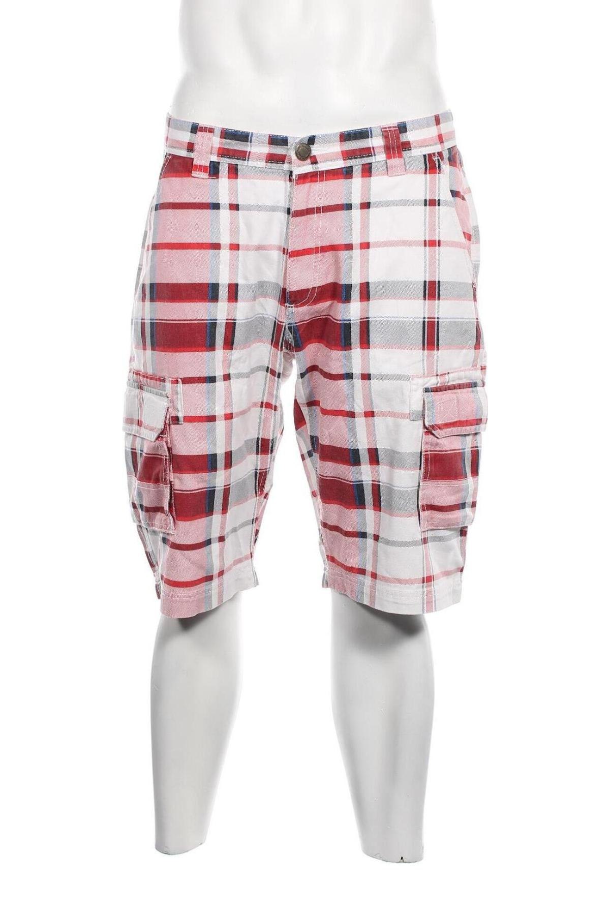 Ανδρικό κοντό παντελόνι, Μέγεθος L, Χρώμα Πολύχρωμο, Τιμή 11,90 €