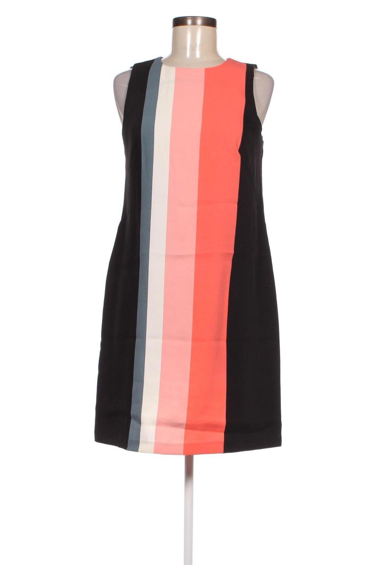 Φόρεμα Ann Taylor, Μέγεθος XS, Χρώμα Πολύχρωμο, Τιμή 10,95 €