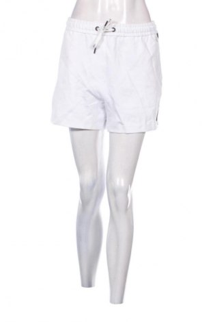 Damskie szorty Calvin Klein Jeans, Rozmiar L, Kolor Kolorowy, Cena 407,99 zł