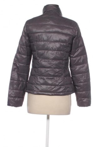 Damenjacke Promod, Größe M, Farbe Grau, Preis € 9,99