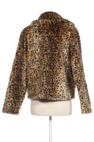 Damenjacke Unbranded, Größe M, Farbe Mehrfarbig, Preis € 14,99