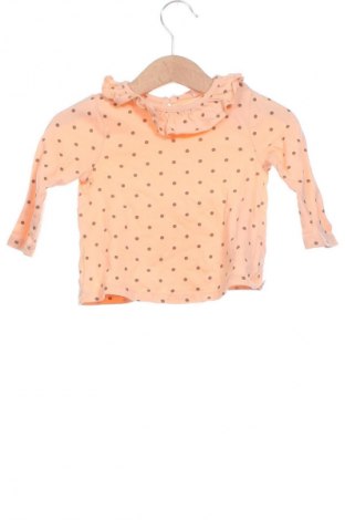 Kinder Shirt LCW, Größe 6-9m/ 68-74 cm, Farbe Mehrfarbig, Preis € 2,99