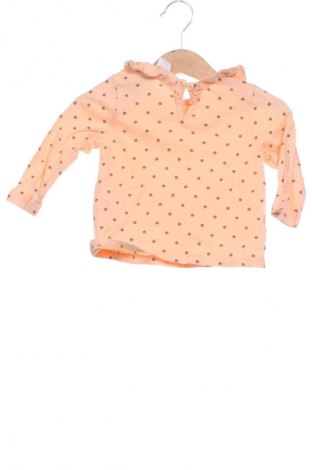Kinder Shirt LCW, Größe 6-9m/ 68-74 cm, Farbe Mehrfarbig, Preis € 2,99