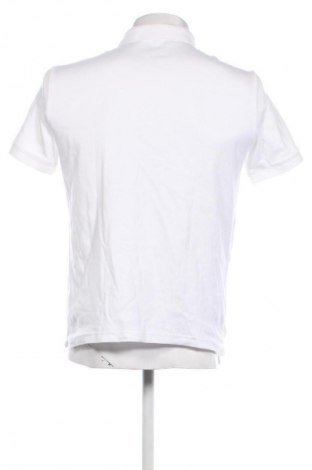Herren T-Shirt Calvin Klein, Größe S, Farbe Weiß, Preis 64,99 €