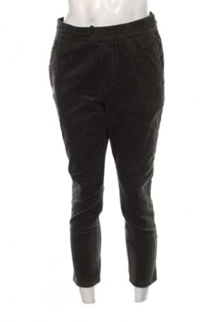 Herren Cordhose Only & Sons, Größe L, Farbe Grün, Preis € 25,99