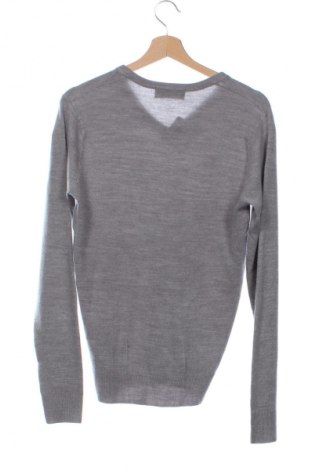 Herrenpullover CedarWood State, Größe XS, Farbe Grau, Preis € 8,99