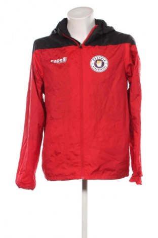 Herrenjacke Capelli, Größe L, Farbe Mehrfarbig, Preis 6,99 €