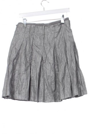 Sukňa Strenesse, Veľkosť M, Farba Strieborná, Cena  113,22 €
