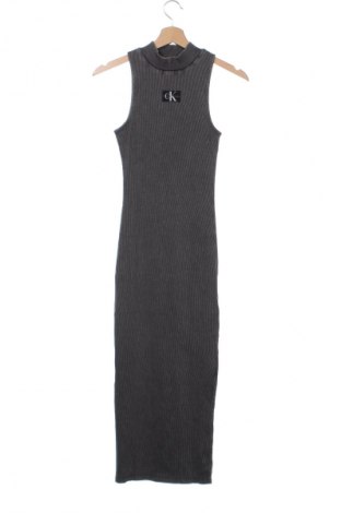 Φόρεμα Calvin Klein Jeans, Μέγεθος XS, Χρώμα Γκρί, Τιμή 117,99 €