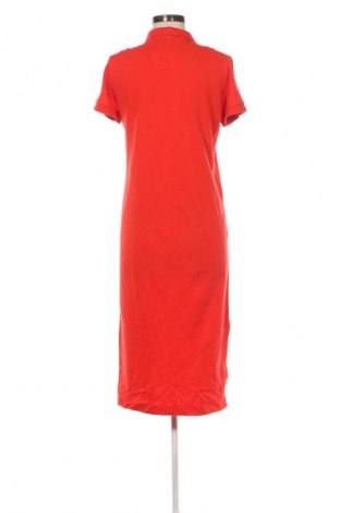 Kleid Gant, Größe S, Farbe Orange, Preis 66,50 €