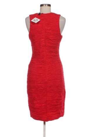 Šaty  Gossip, Veľkosť L, Farba Červená, Cena  23,83 €