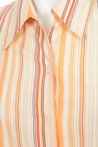 Γυναικείο πουκάμισο, Μέγεθος L, Χρώμα Πορτοκαλί, Τιμή 9,28 €