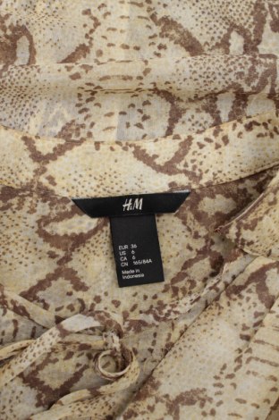 Γυναικείο πουκάμισο H&M, Μέγεθος S, Χρώμα Καφέ, Τιμή 11,75 €