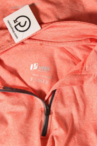 Γυναικεία μπλούζα, Μέγεθος XL, Χρώμα Πορτοκαλί, Τιμή 3,98 €