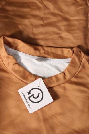 Γυναικεία μπλούζα, Μέγεθος L, Χρώμα Καφέ, Τιμή 1,76 €