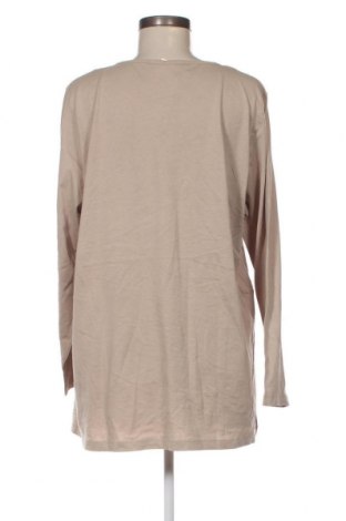 Γυναικεία μπλούζα, Μέγεθος XL, Χρώμα  Μπέζ, Τιμή 6,70 €