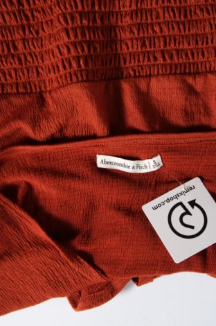 Γυναικεία μπλούζα Abercrombie & Fitch, Μέγεθος S, Χρώμα Καφέ, Τιμή 10,09 €