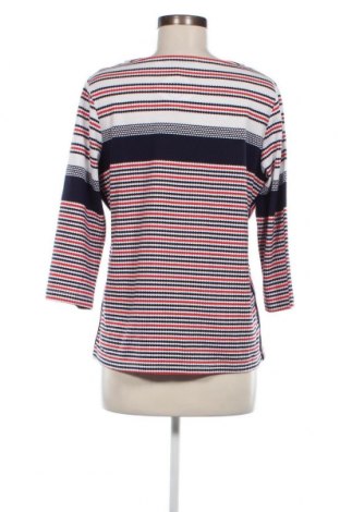 Γυναικεία μπλούζα Adagio, Μέγεθος L, Χρώμα Πολύχρωμο, Τιμή 4,00 €