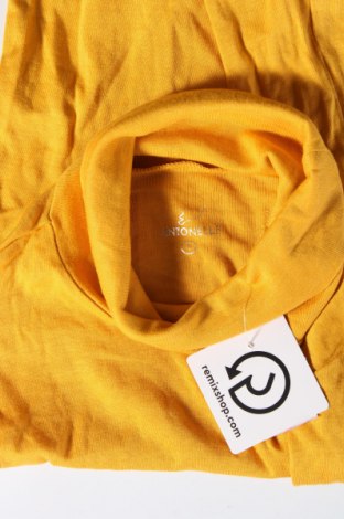 Γυναικεία μπλούζα Antonelle, Μέγεθος S, Χρώμα Κίτρινο, Τιμή 8,62 €