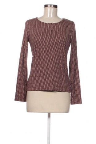 Γυναικεία μπλούζα Antonelle, Μέγεθος S, Χρώμα Πολύχρωμο, Τιμή 3,36 €