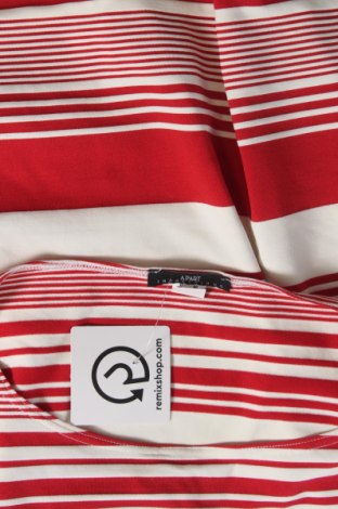 Γυναικεία μπλούζα Apart, Μέγεθος XL, Χρώμα Πολύχρωμο, Τιμή 15,67 €