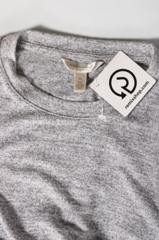 Damen Shirt Banana Republic, Größe M, Farbe Grau, Preis 13,15 €