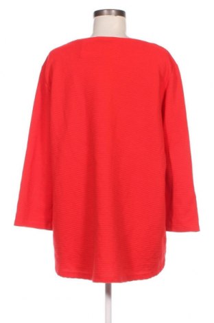 Γυναικεία μπλούζα Canda, Μέγεθος XL, Χρώμα Κόκκινο, Τιμή 14,23 €