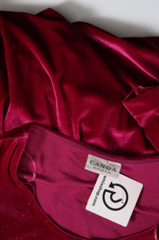 Damen Shirt Canda, Größe XXL, Farbe Rosa, Preis 13,22 €